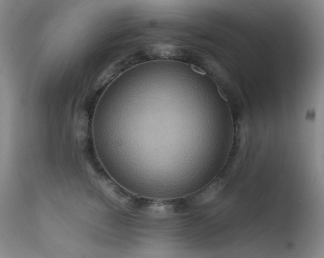 X0000111900760200907271158