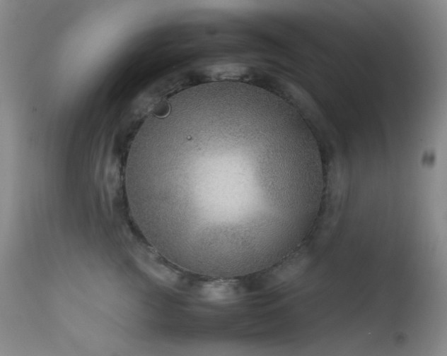 X0000111900761200907271158