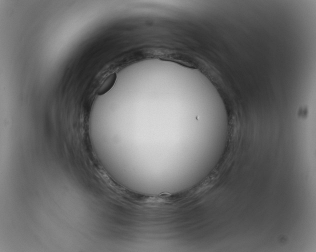 X0000111900762200907271158