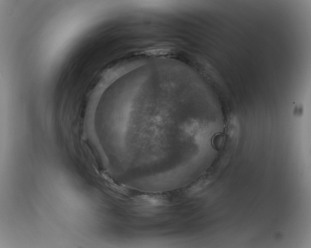 X0000111900763200907271158