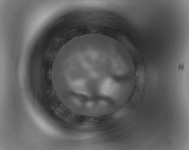 X0000111900765200907271158