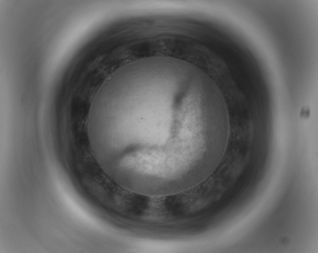 X0000111900766200907271158