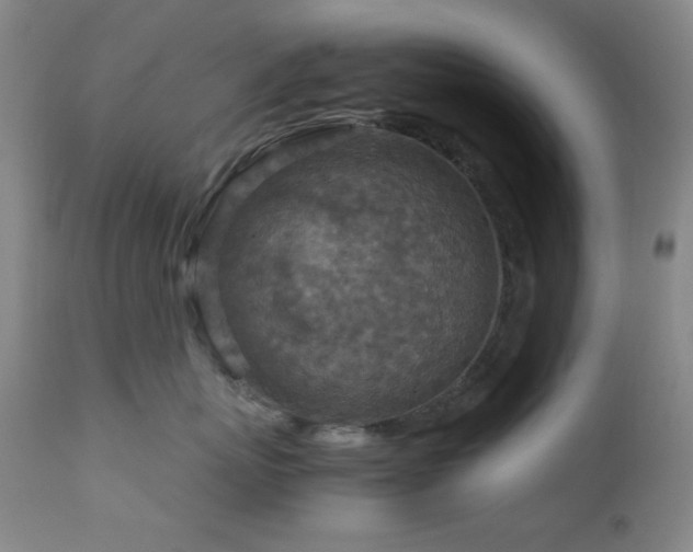 X0000111900767200907271158