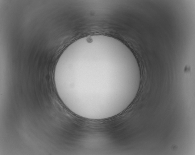 X0000111900768200907271158