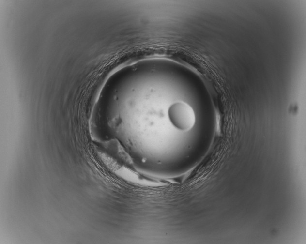 X0000111900769200907271157