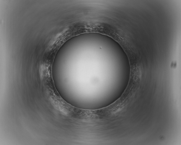 X0000111900770200907271157