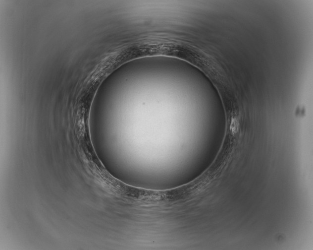 X0000111900771200907271157