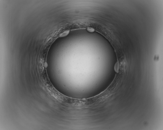 X0000111900772200907271157