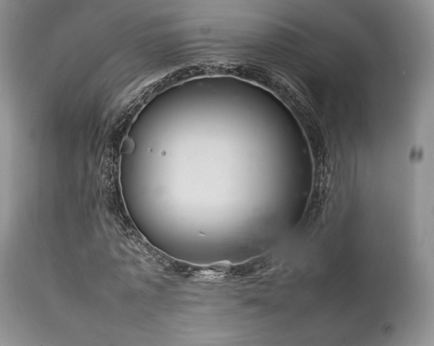 X0000111900773200907271157