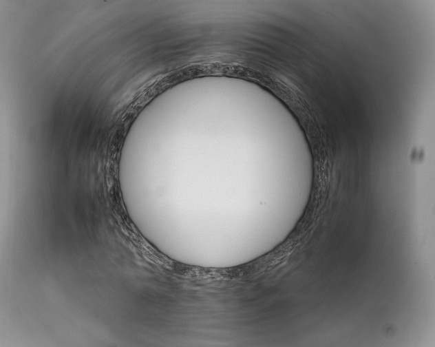 X0000111900774200907271157