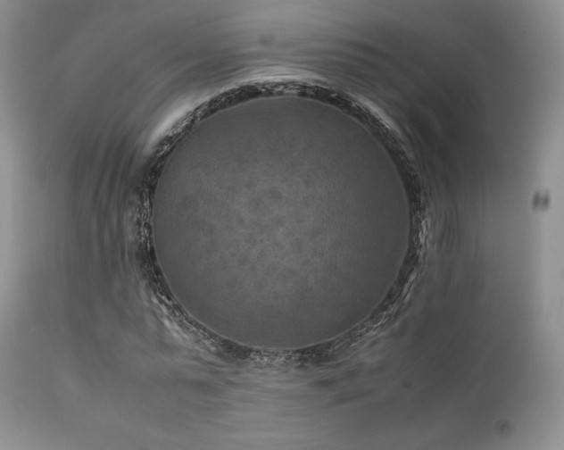 X0000111900775200907271157