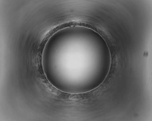 X0000111900776200907271157