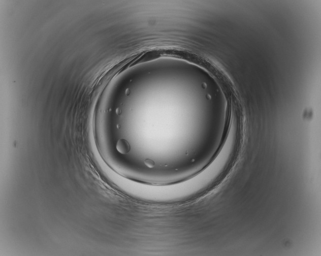 X0000111900777200907271157