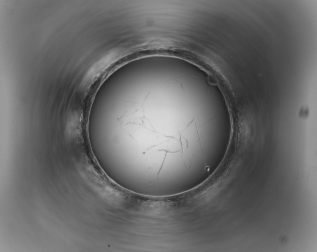 X0000111900778200907271157