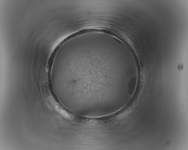 X0000111900779200907271157