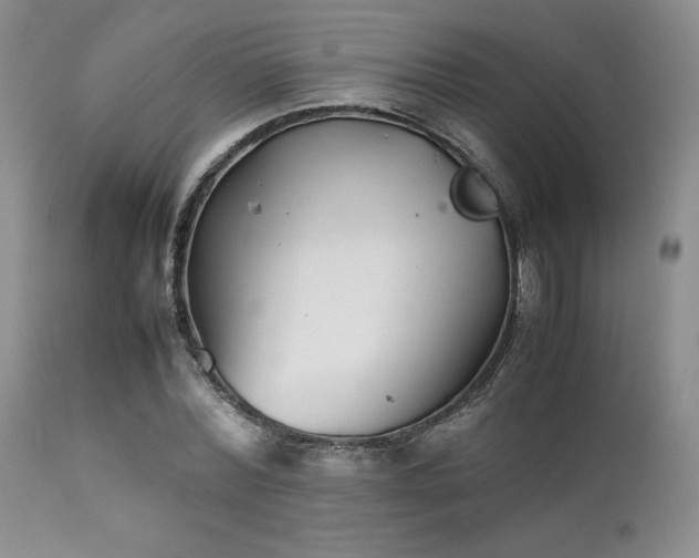 X0000111900780200907271157