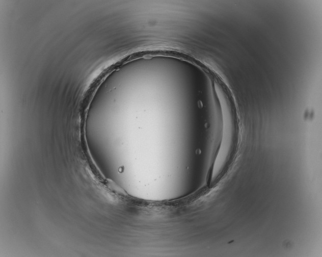 X0000111900781200907271157