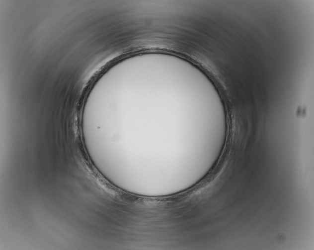 X0000111900782200907271157