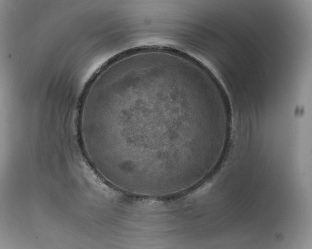 X0000111900783200907271157