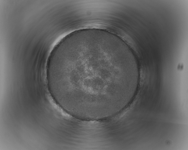 X0000111900784200907271157