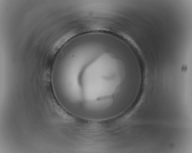 X0000111900785200907271157