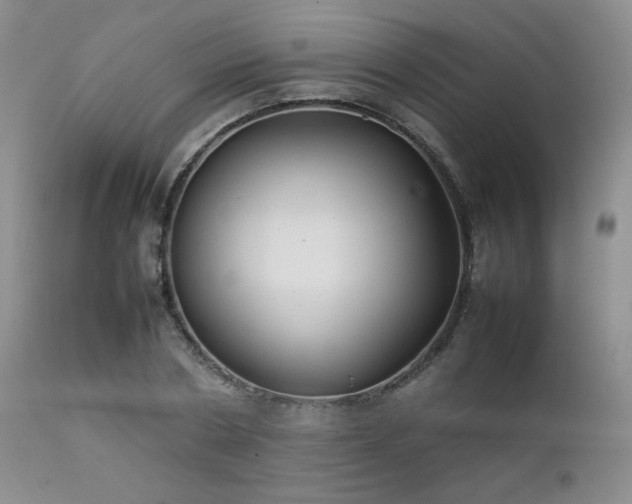 X0000111900786200907271157