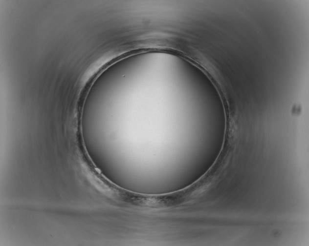 X0000111900787200907271157