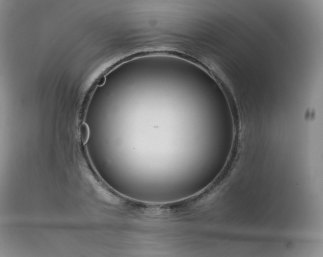 X0000111900789200907271157