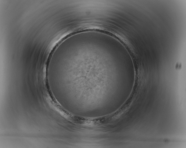 X0000111900790200907271157