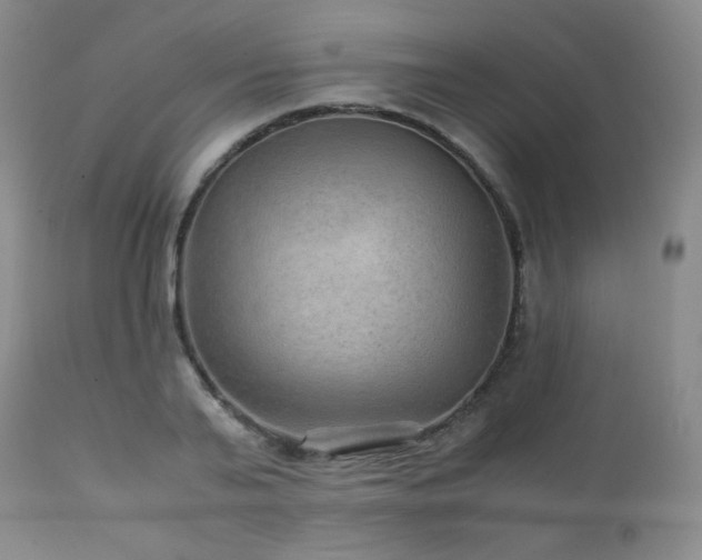 X0000111900791200907271157