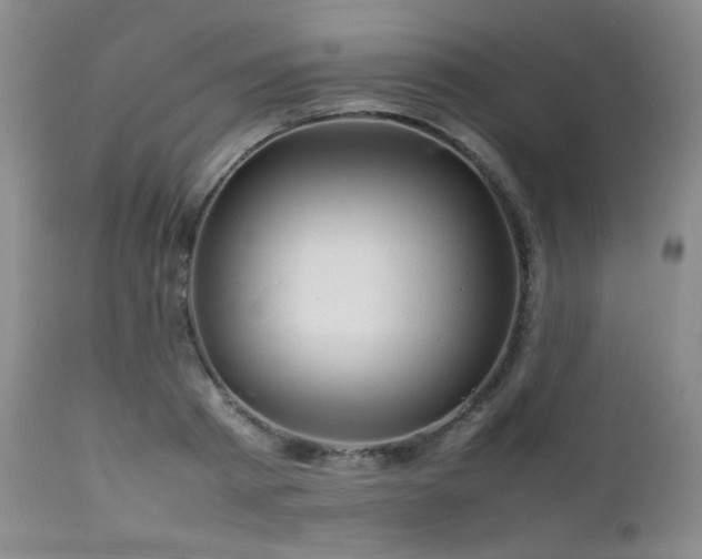 X0000111900793200907271156