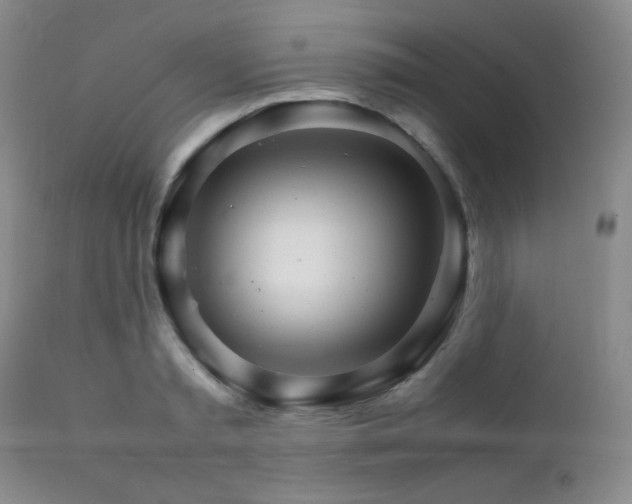 X0000111900797200907271156