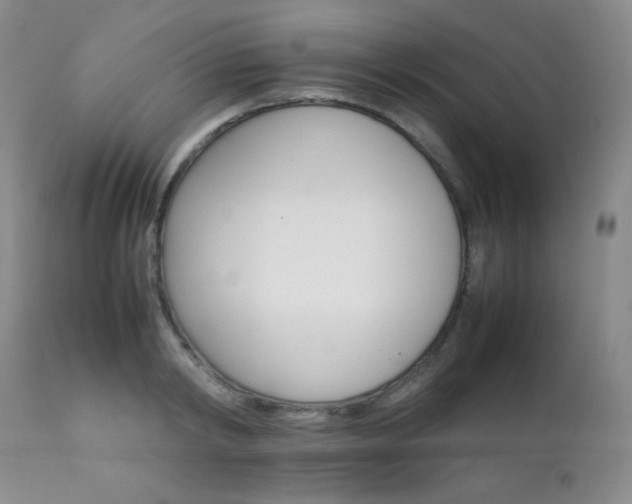 X0000111900798200907271156