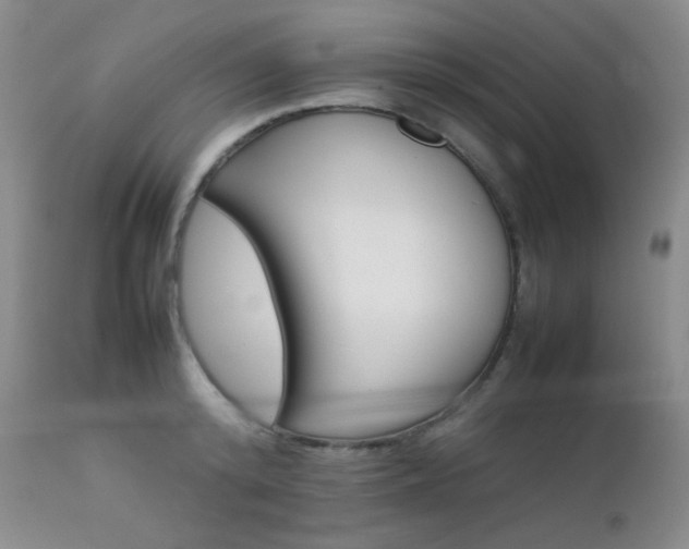 X0000111900800200907271156