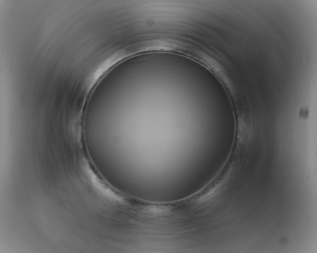 X0000111900802200907271156