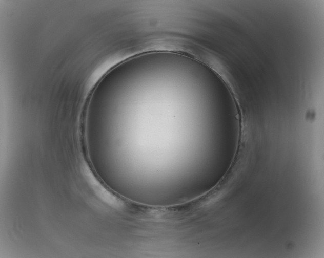 X0000111900803200907271156