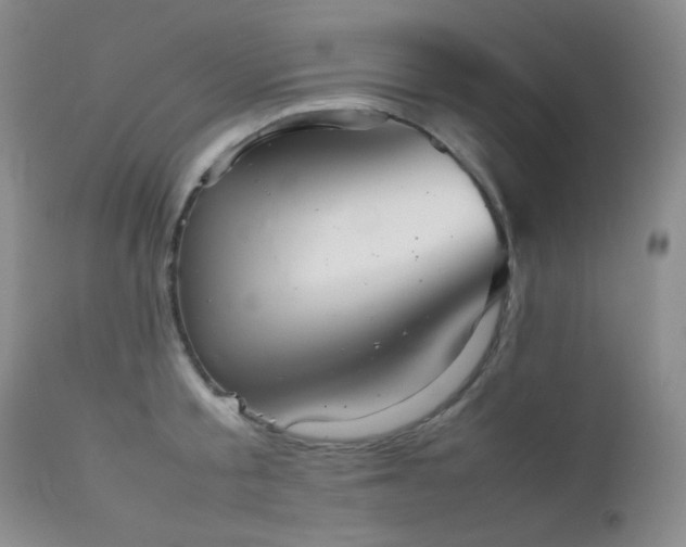 X0000111900805200907271156