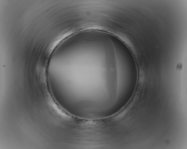 X0000111900806200907271156