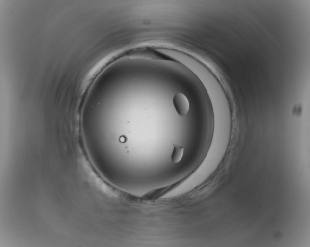 X0000111900807200907271156