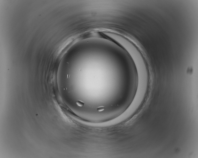 X0000111900809200907271156