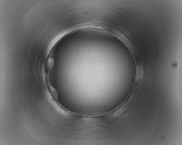 X0000111900812200907271156