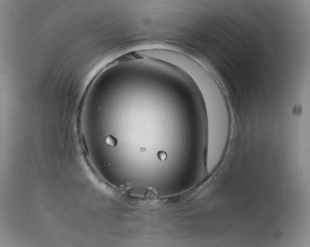 X0000111900813200907271156