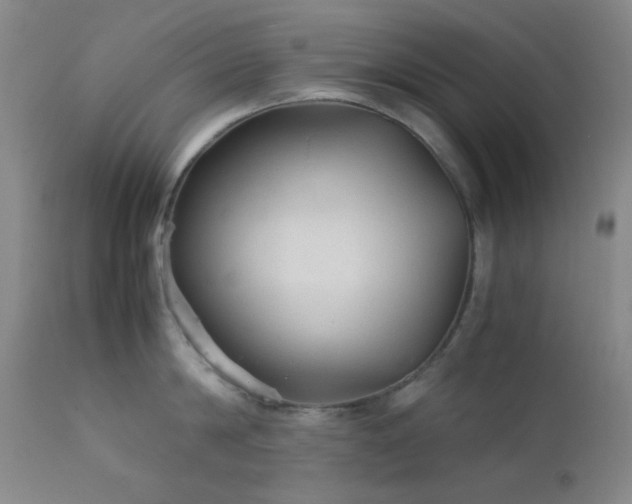 X0000111900814200907271156