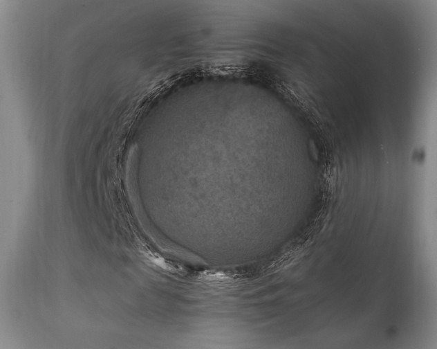 X0000111900817200907271155