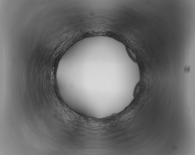 X0000111900818200907271155