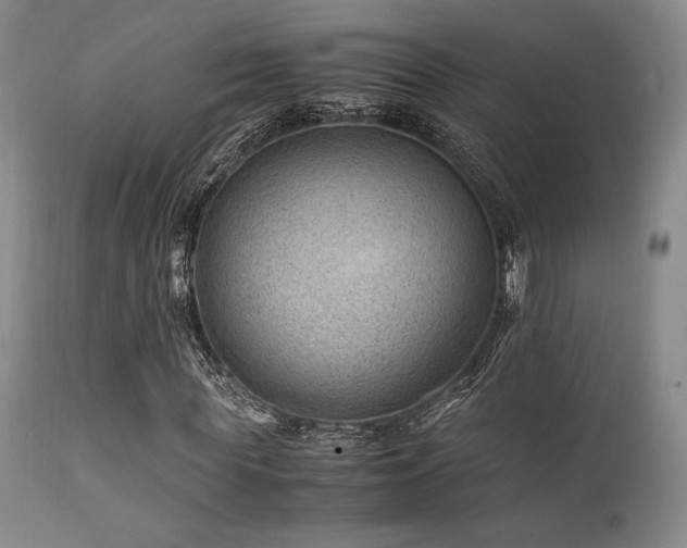 X0000111900819200907271155