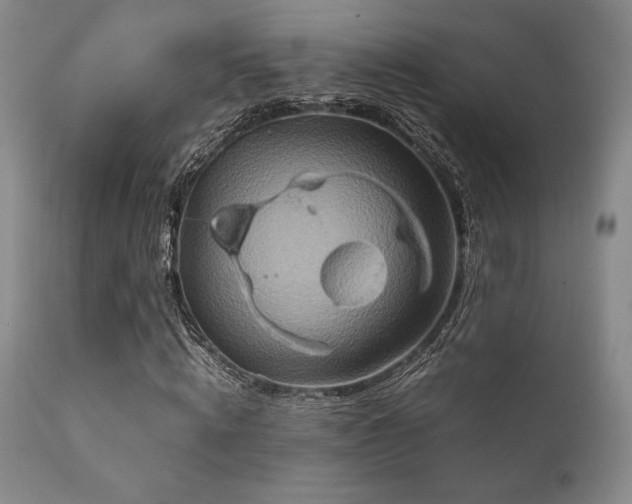 X0000111900820200907271155