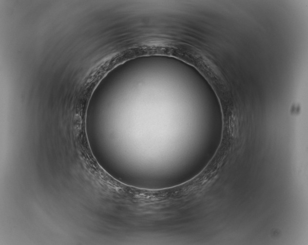 X0000111900821200907271155