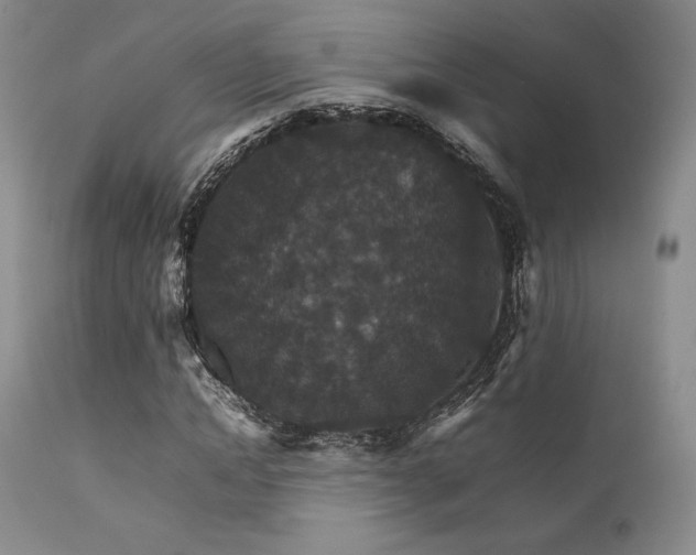 X0000111900822200907271155