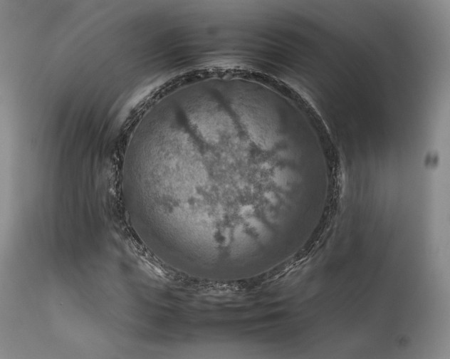 X0000111900823200907271155